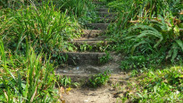 Photo by Hjgough
