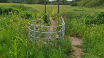 Photo by Strider